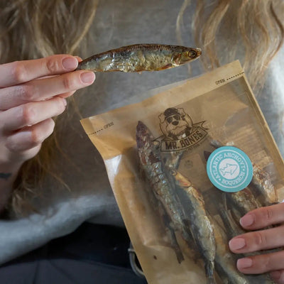 Naturlig tyggesnack til hunde og katte - Atlanterhavs Ansjos - Dapple