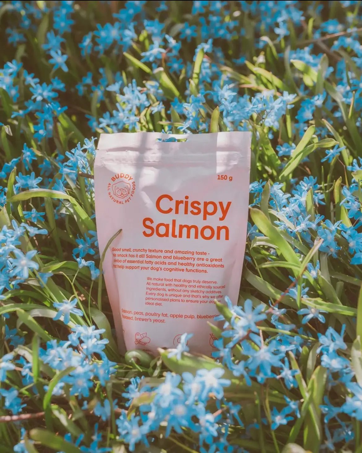 Buddy Crunchy Snack - Laks med blåbær 150 g - Dapple