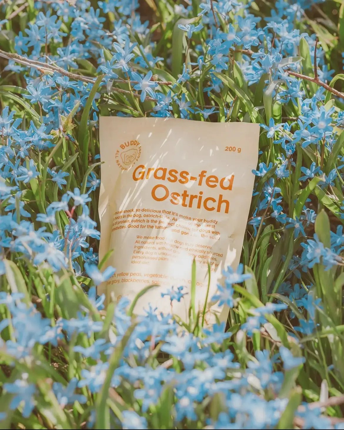 Buddy Semi - moist Snack - Struds med brombær 200 g - Dapple