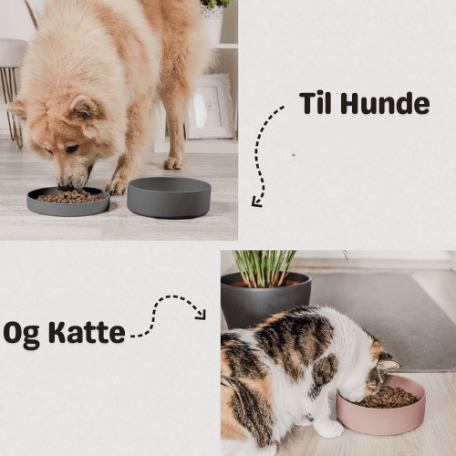 Ne&no® Silikone Foderskål med Låg - Dapple